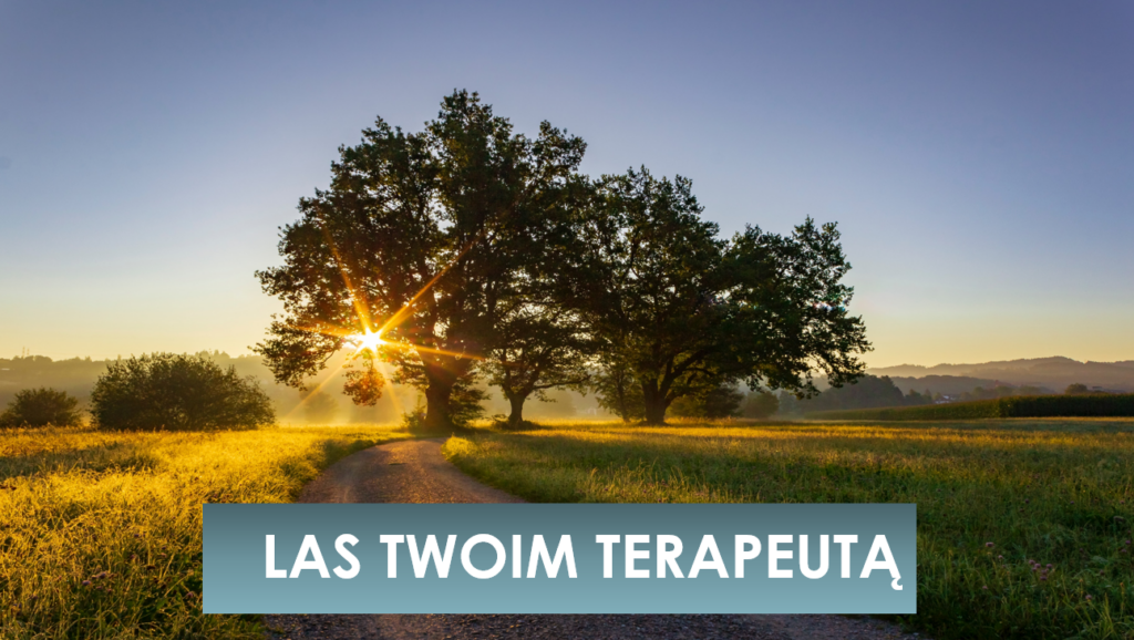 4 terapeutyczne wędrówki z drzewami w sezonie maj-sierpień 2026